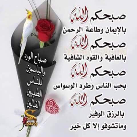 صور راقية للصباح 2016 صور صباح الخير صغيره الصباح الخير صور
