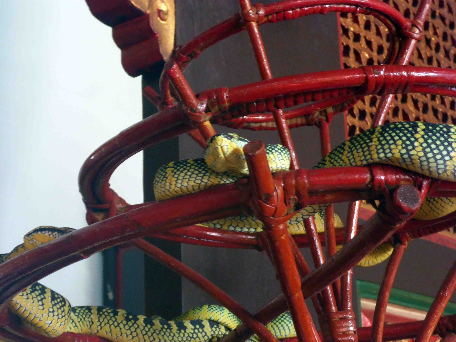 The Snake Temple Of Penang Malaysia Damn Cool Pictures
