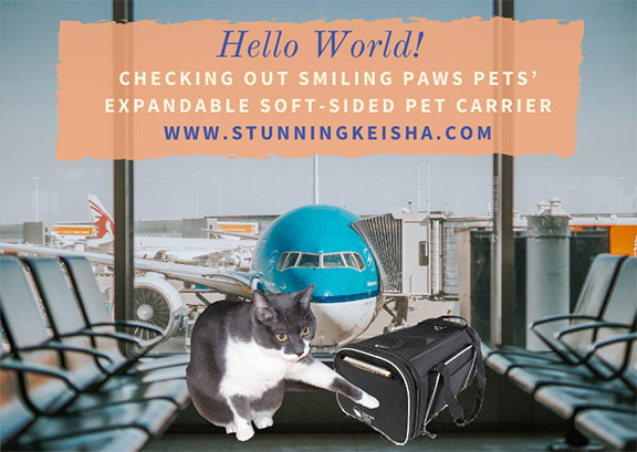 Checking Out Smiling Paws Pets’ Expandable Soft-Sided Pet Carrier #sponsored