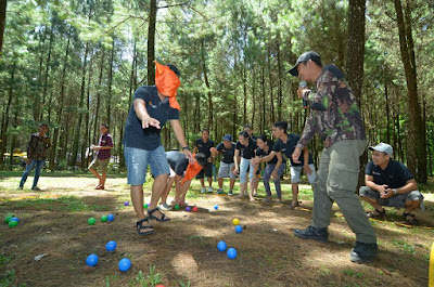 wisata pinus songgon