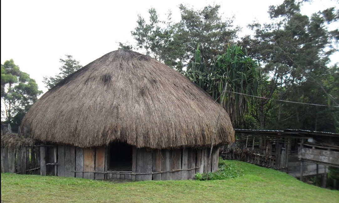 Kumpulan Gambar Cara Menggambar Rumah Adat Papua Barat Desain 