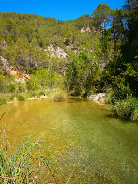 El río Fraile, en Bicorp. Autor: Miguel Alejandro Castillo Moya. El río Fraile, en Bicorp. Autor: Miguel Alejandro Castillo Moya.