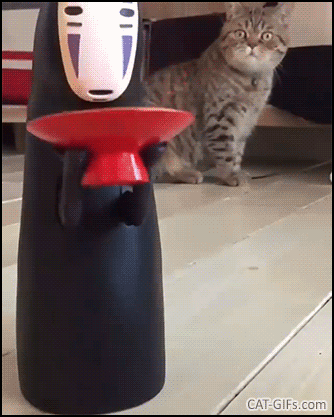Funny Cat reaction GIF • Hilarious cat's face. “What are you doing human, what kind of sorcery is this?” Funny Cat reaction GIF • Hilarious cat's face. “What are you doing human, what kind of sorcery is this?”