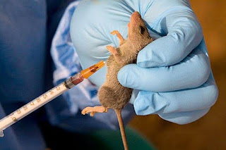 Lassa fever Lassa fever