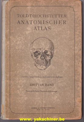 Anatomischer Atlas, volume 3, 1923
