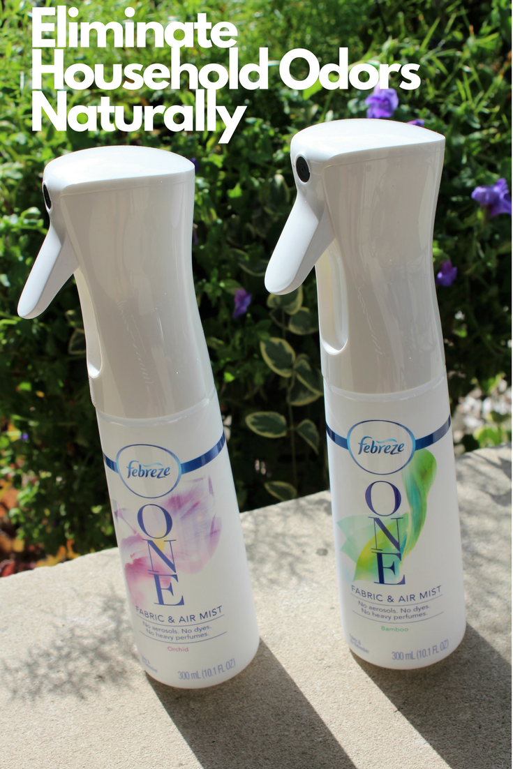 Mom Among Chaos Eliminate Household Odors Naturally mom-among-chaos-eliminate-household-odors-naturally