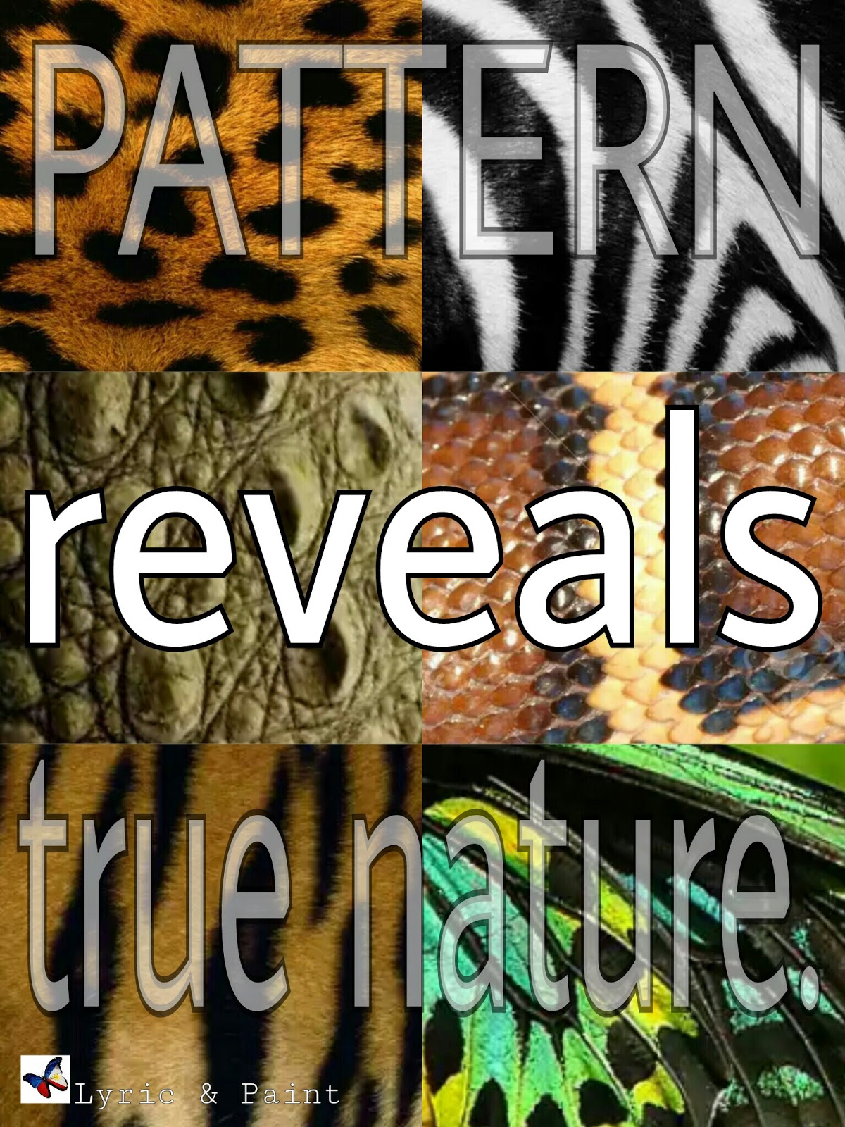 Personal Encounters: Avilon Zoo in Rodriguez, Rizal