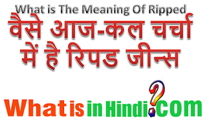 What is the meaning of Ripped jeans in Hindi