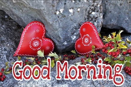 Good Morning Photos Good Morning Photos