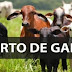 Polícia investiga furto de cabeças de gado em Bom Jesus do Itabapoana
