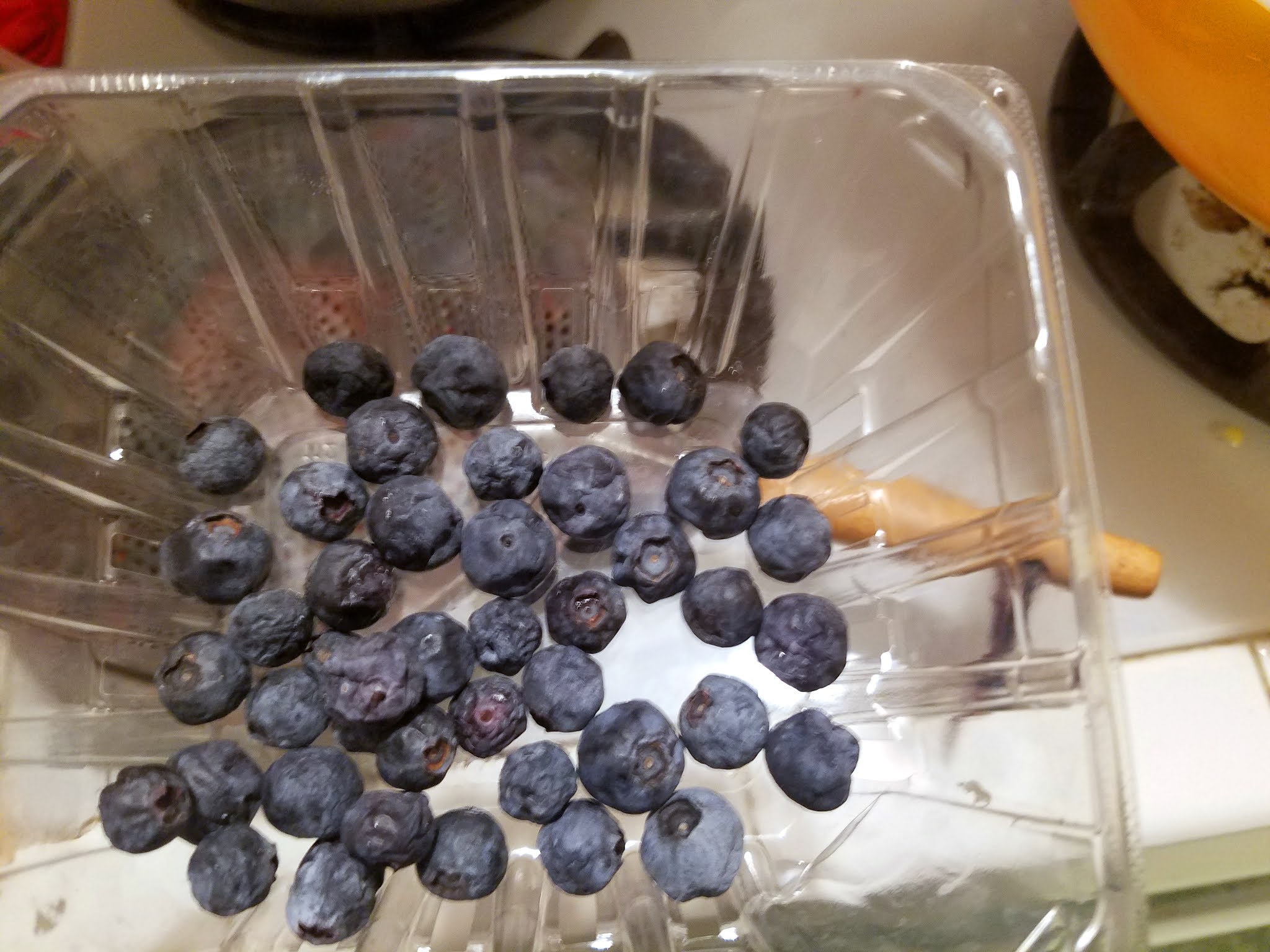 A Book Of Cookrye ApplesauceBlueberry Cake