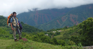 Selva de alta montaña