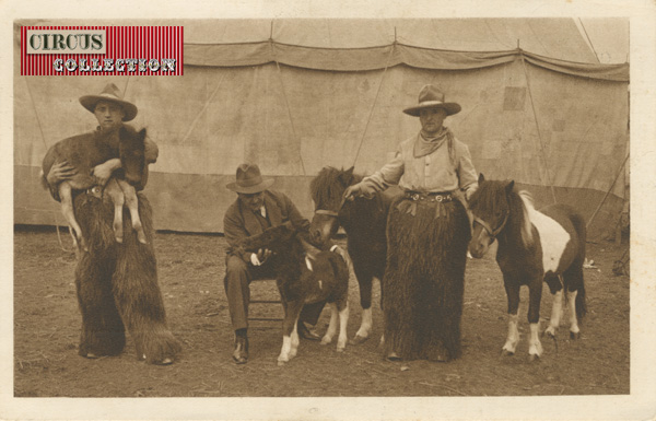 les cow-boys du cirque présente leurs jeunes poneys