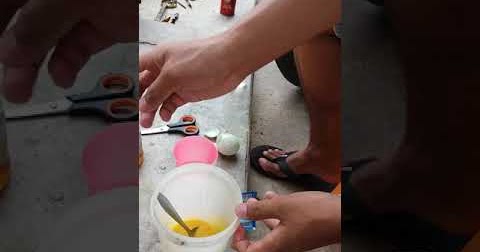 Pakan Racikan Untuk Burung Sogon