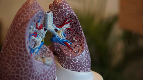 Lung diseases 5 habits to keep your lungs healthy and protect from lungs infection