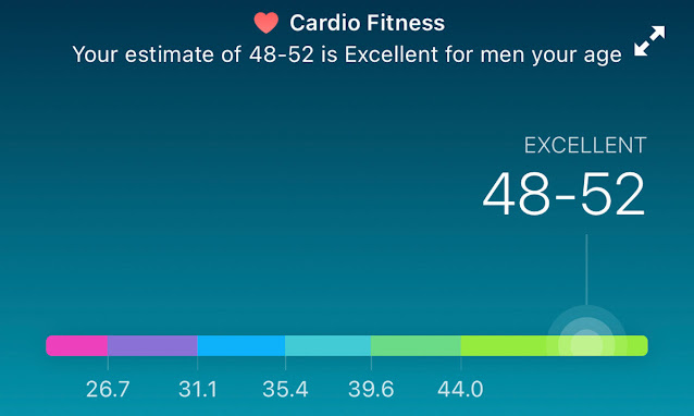 Fitbit Health And Fitness Scores And Stats Explained