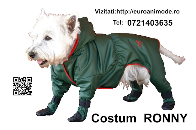 Costumul RONNY