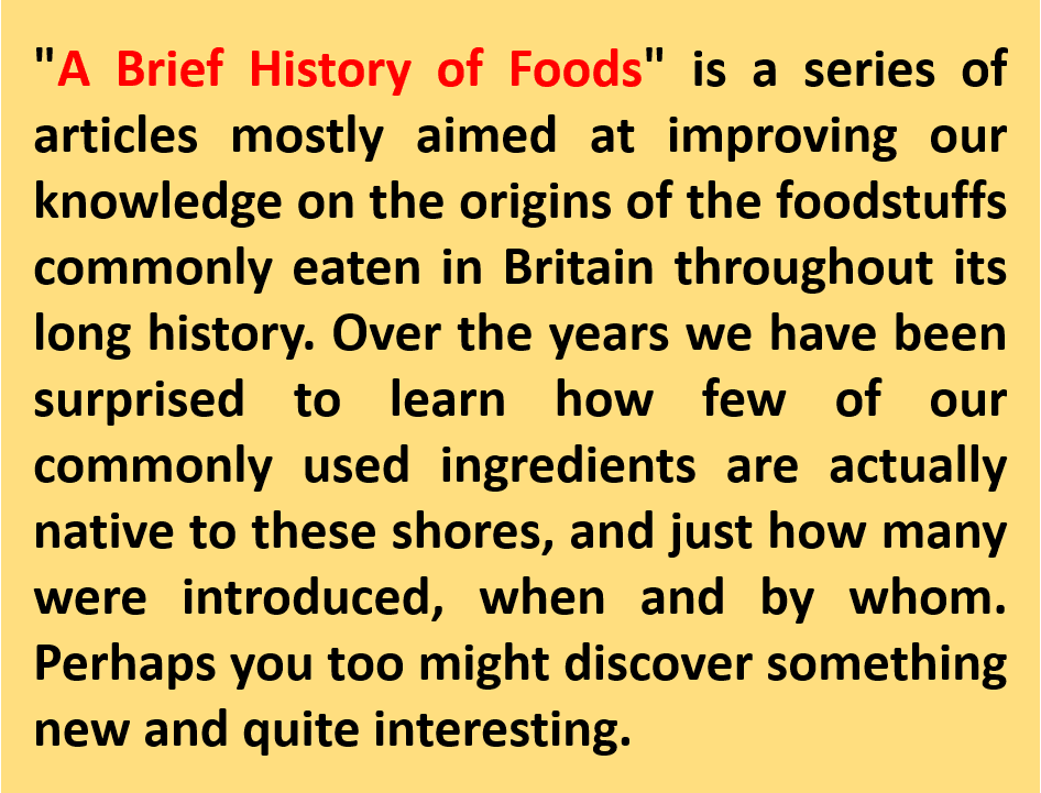 Tastes Of History A Brief History of Foods Chickens in Britain
