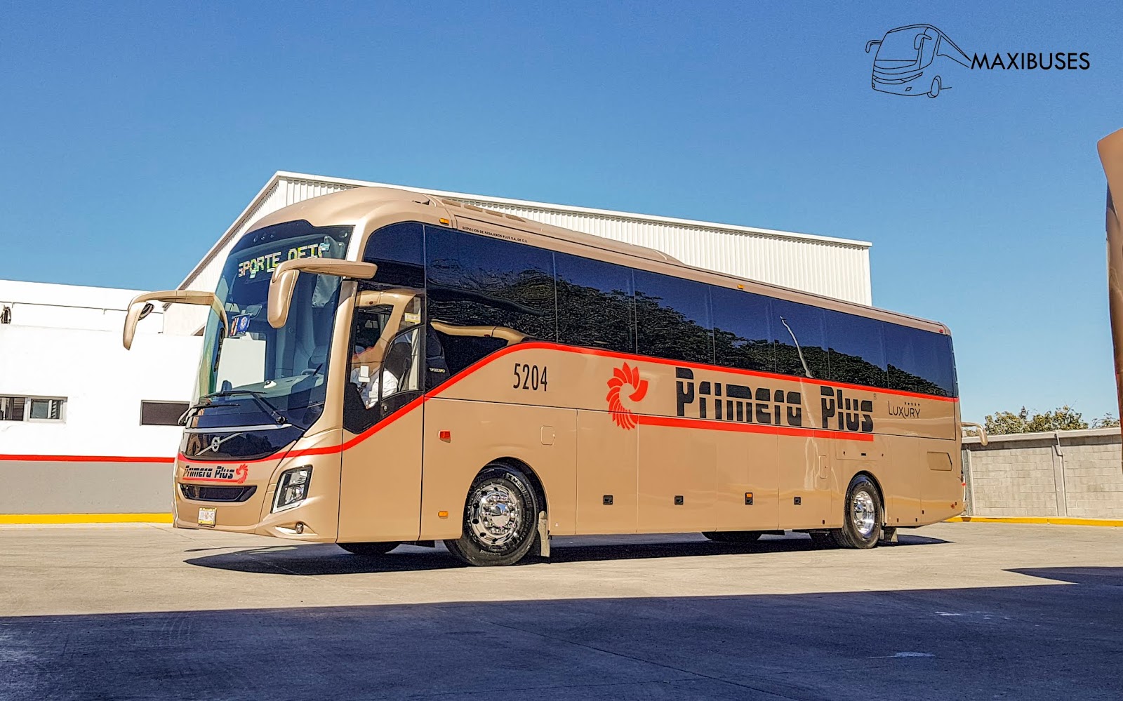 MAXIBUSES PRIMERA PLUS