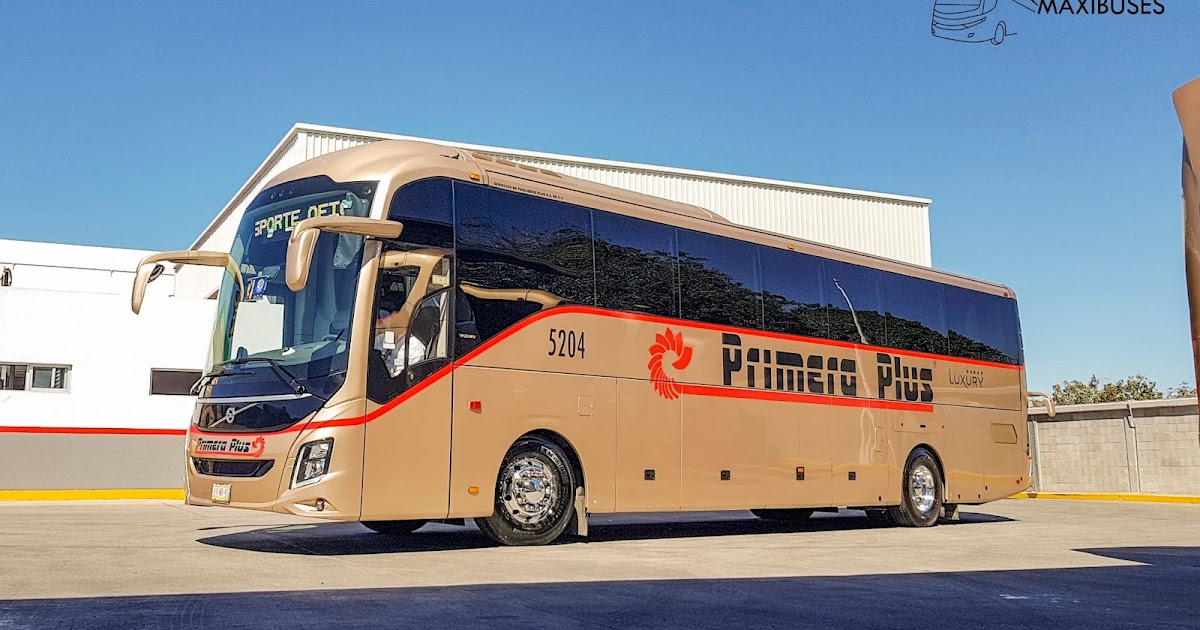 MAXIBUSES PRIMERA PLUS