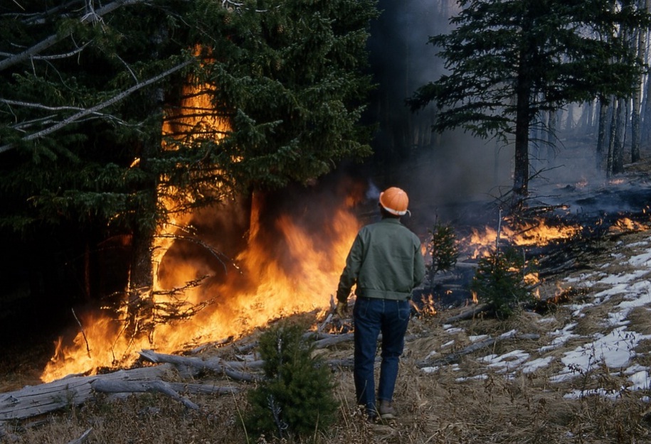 Dampak Kebakaran Hutan dan Lahan Terhadap Alam Catatan