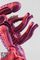NECA Xenomorph Warrior Arcade Appearance 09