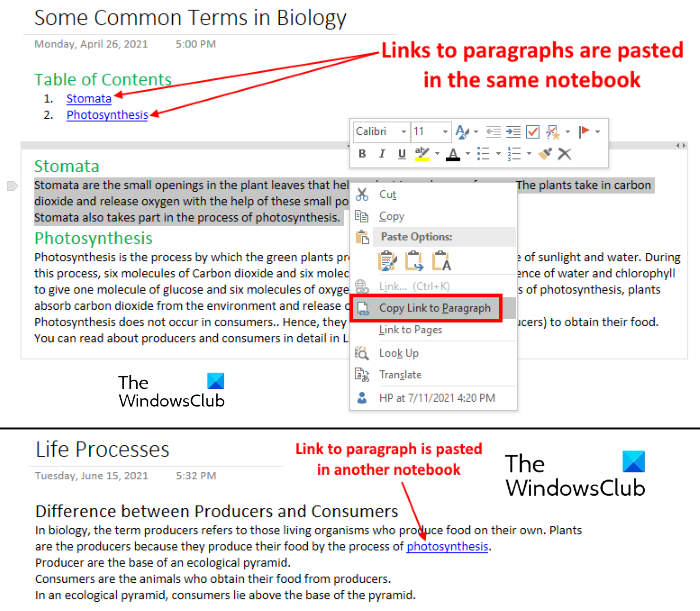 come creare collegamenti in OneNote