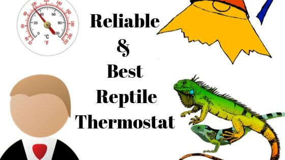 Top 10 Reliable Reptile Thermostats for Heaters