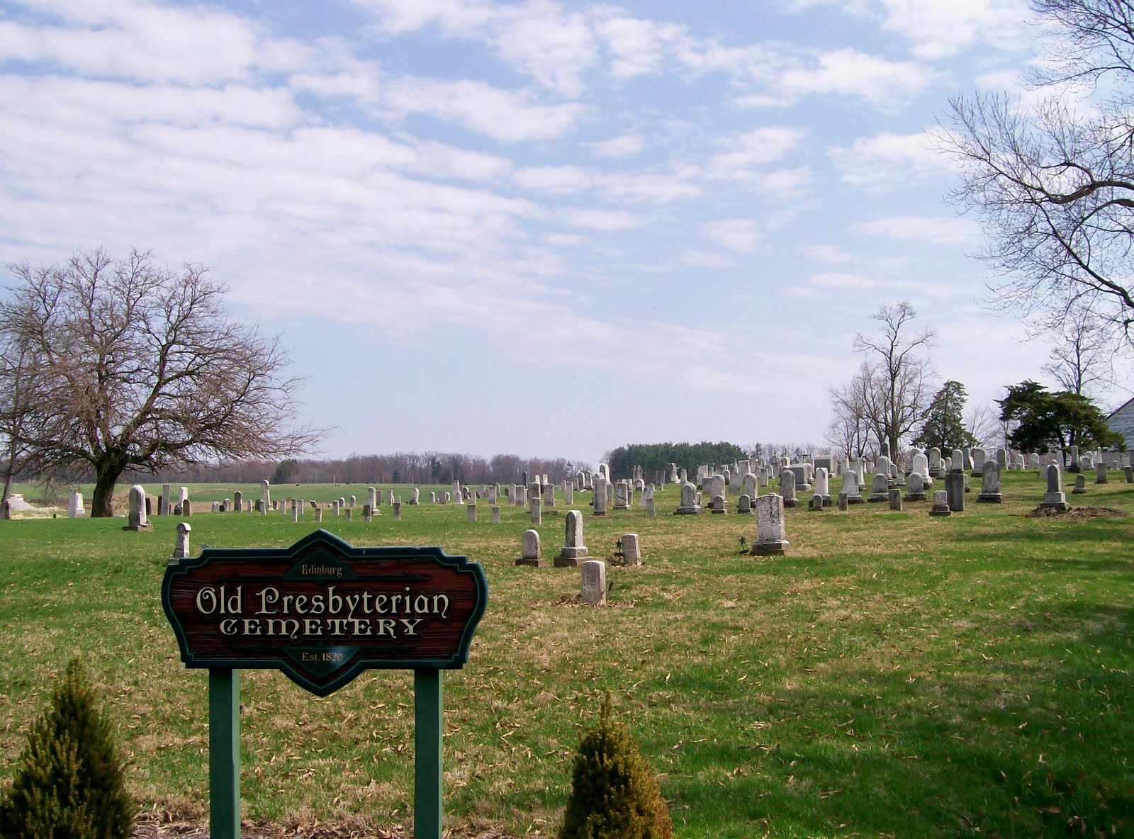 Graveyard Rabbit of Sandusky Bay Old Presbyterian Cemetery in Apple