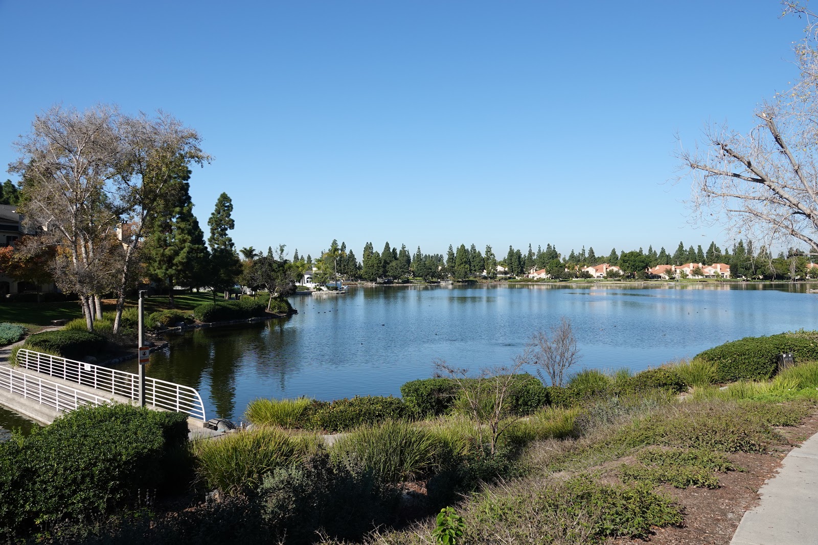 Looking for Lakes Eastlake