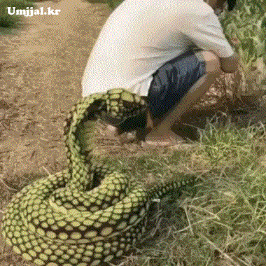 Umjjal_kr_18.gif