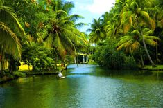 kerala images