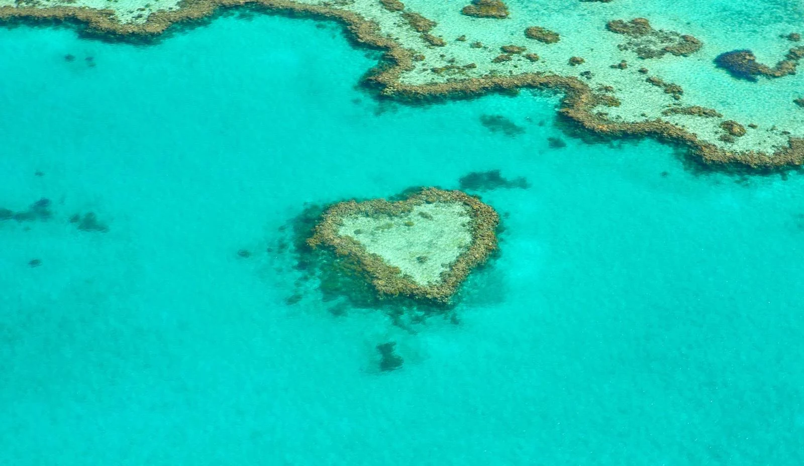 聖靈群島-景點-行程-推薦-直升機-小飛機-水上飛機-攻略-大堡礁-心型礁-遊記-自由行-旅遊-Whitsundays-Plane-Helicopter-Sea-Heart-Reef-Travel
