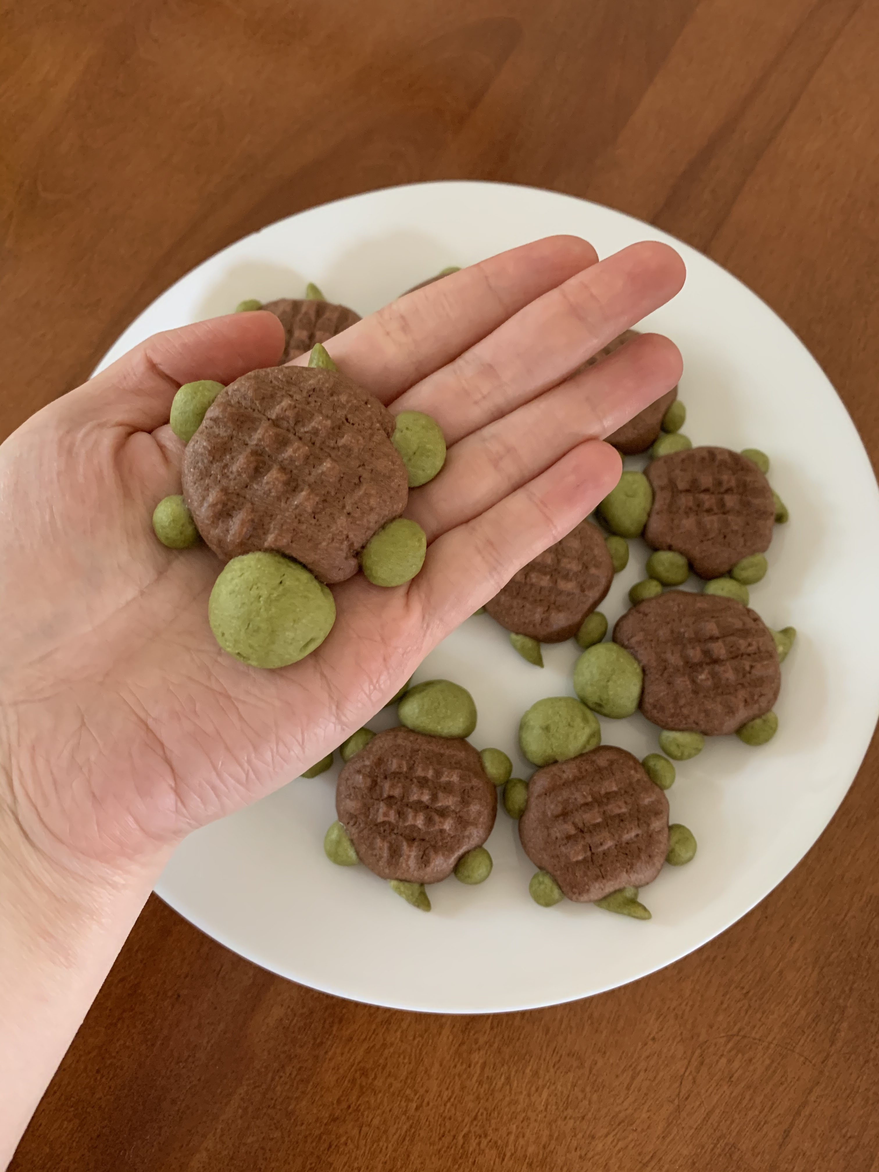 Matcha & Chocolate Turtle Cookies