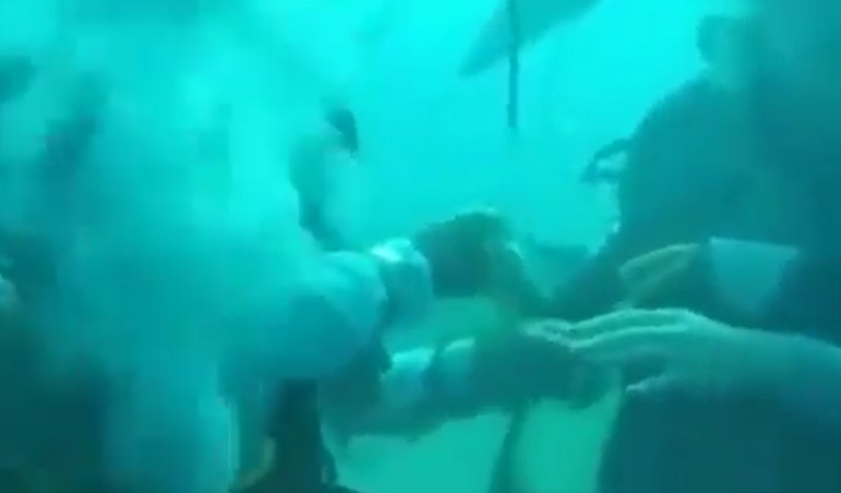 شاهد..مصري يعقد قرانه على بريطانية تحت ماء البحر الأحمر