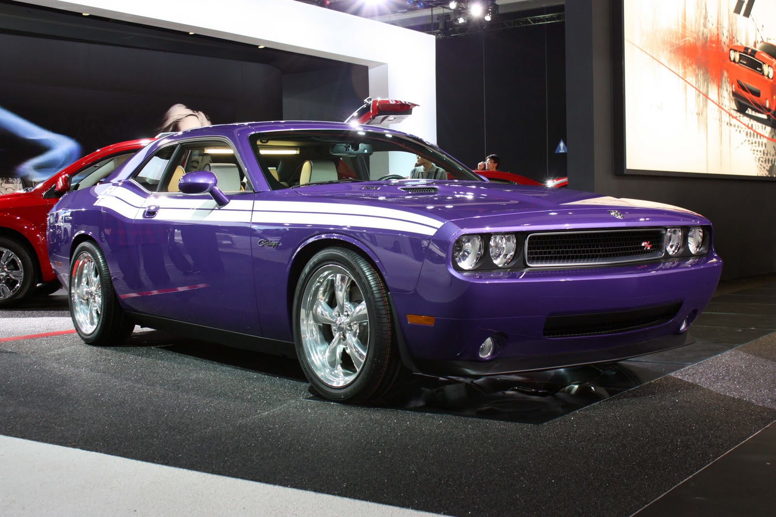 DicE Magazine Plum Crazy.