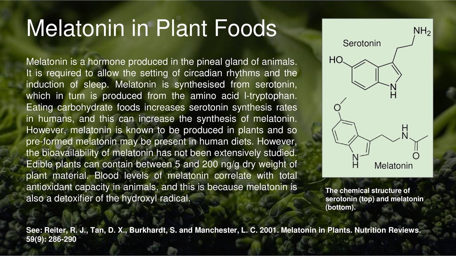 Melatonin in Plant Foods