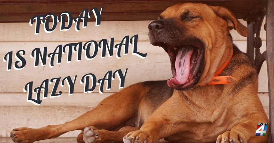 National Lazy Day National Lazy Day