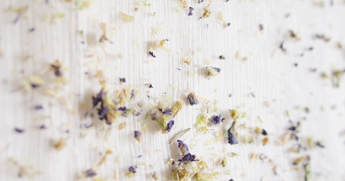 Moving forward x natural dye