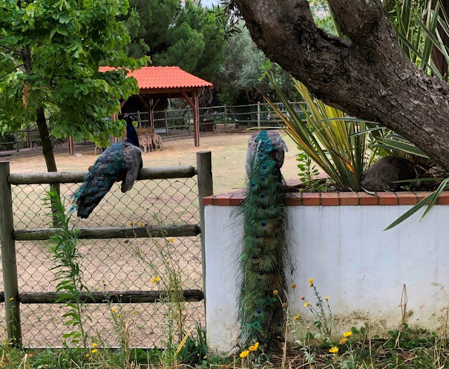 Quinta Pedagógica dos Olivais  