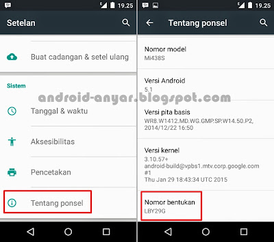 Cara agar menu Opsi Pengembang keluar di Setelan