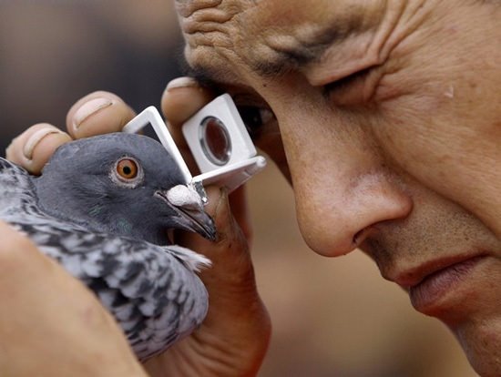 Renkleri Nasıl Algıladığımızı Biliyor Musunuz? Renkleri Nasıl Algıladığımızı Biliyor Musunuz?