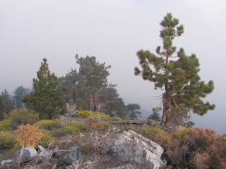 View south from Mount Hawkins menaced with smoke