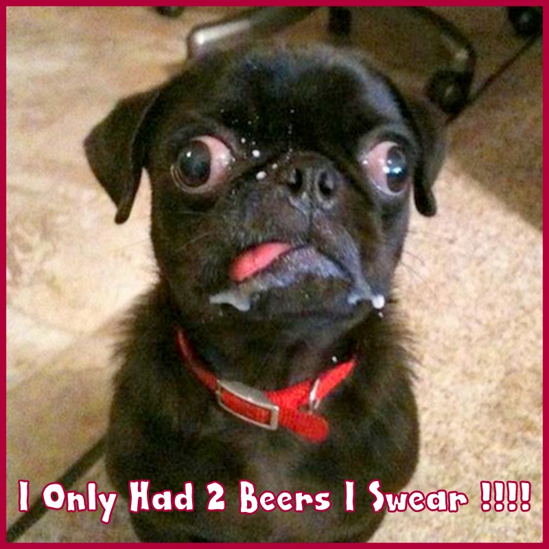 Photos That Make Us Smile: A Face Only A Mother Could Love