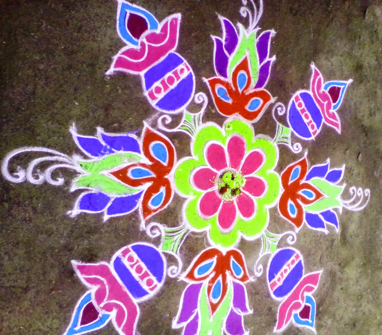 Sankranti Muggulu - Multicolour Designer Rangoli for Pongal 2015