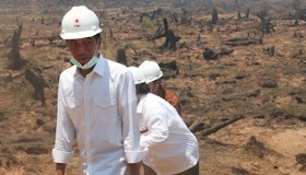 Jokowi Alumni Fakultas Kehutanan Yang Gagal Atas Kebakaran Hutan