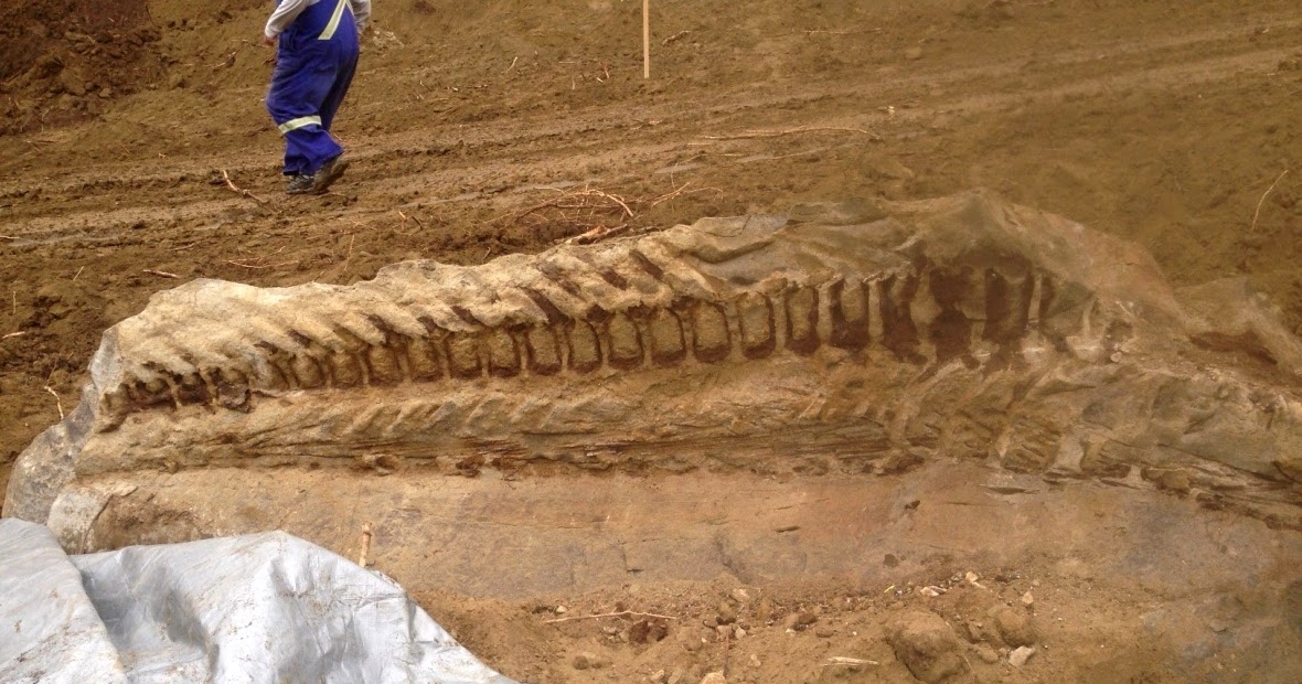 Oil Patch Workers Stumble Upon Massive New Find' Dinosaur