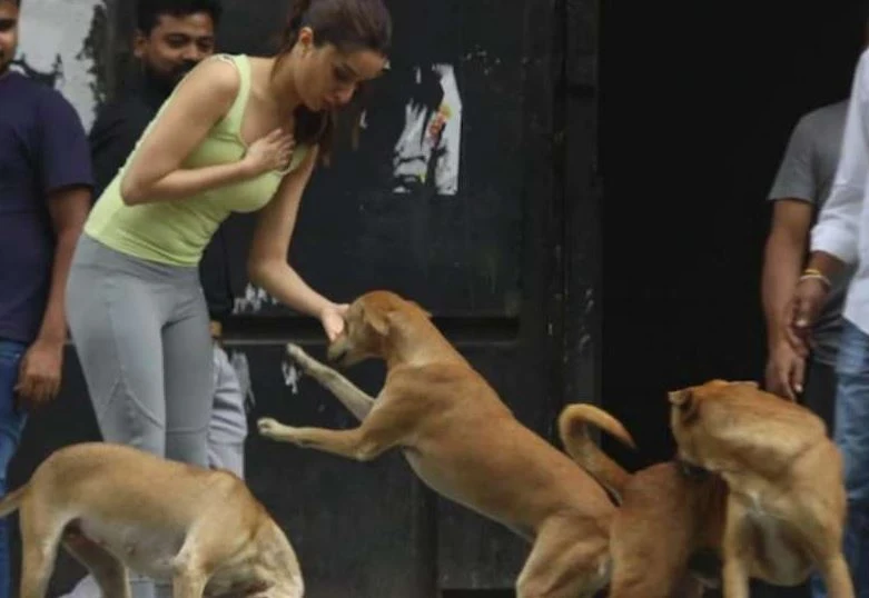 shraddha kapoor and dog 