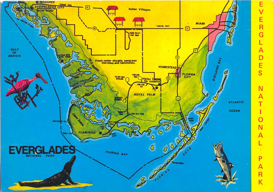 POSTCARDY: the postcard explorer: Map: Everglades National Park