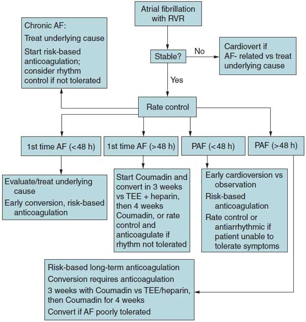 Emergency medicine atrial fibrillation case file